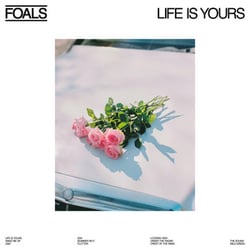 Foals